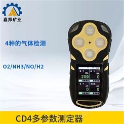 防爆 CD4便携式多参数测定器 便携式多参数气体含量测定器