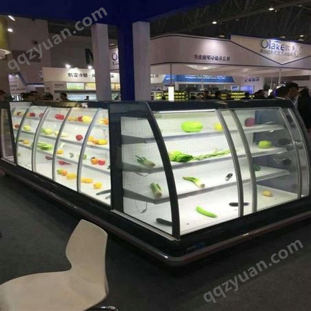新款冰箱饮料柜超市冷柜水果风冷雪迎展示柜风幕冷藏柜