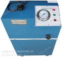 上海DXY高压电动试压泵,非标制造电动泵规格,参数