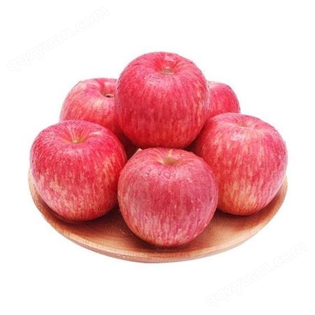红富士的品种 批发冷库红富士苹果 代收苹果 现货直供
