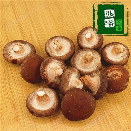 农业基地批Z162冬菇蘑菇100g袋装农家黑面干菇
