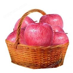 陕西红富士苹果 苹果市场价格调查表