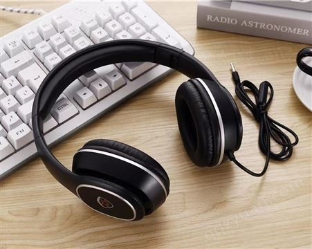 K5259 降噪耳机 插线耳机 学习英语听力四六级网课专用降噪隔音