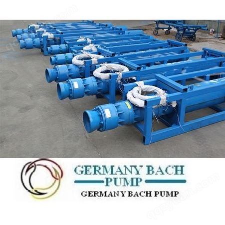 德国进口潜水回流泵，不锈钢潜水回流泵：德国BACH巴赫代理商