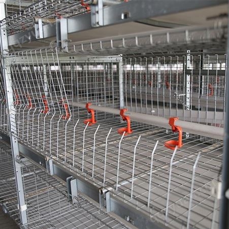 长期销售 蛋鸡笼厂家 钢丝网蛋鸡笼 重型层叠式热镀锌鸡笼
