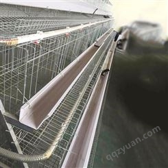 绿色浸塑鸡笼子 双水线框架蛋鸡笼 养殖场用自动化养殖设备