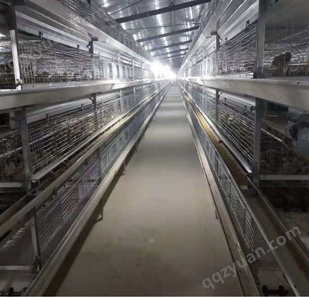 科学养殖节约成本鸡笼鸭笼厂家层叠式 热镀锌三层四层肉鸡笼