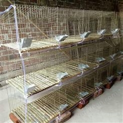 兔笼厂家 12位子母兔笼 24位商品兔笼 9位种兔笼 裸笼 全套配件
