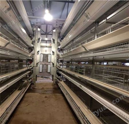 蛋鸡 肉鸡养殖设备 框架肉鸡笼 层叠肉鸡笼 自动化肉鸡养殖设备 鸡笼厂家