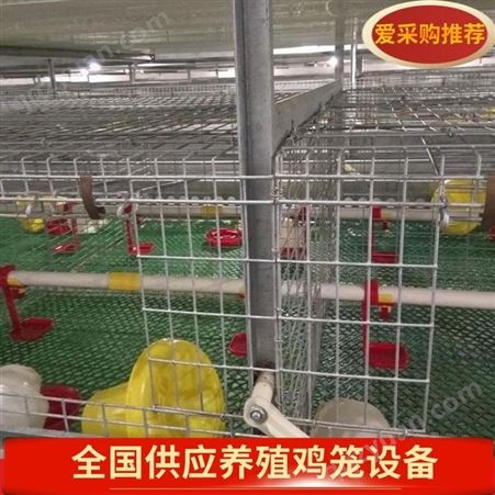加固肉鸡笼 层叠式肉鸡养殖笼 鸡笼厂家销售 种鸡笼