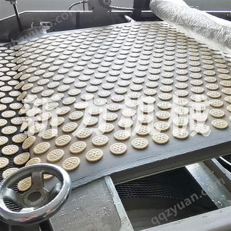 新力厂家供应轧皮机网红肉松饼干咸味饼干生产线馍片设备天然气烤炉