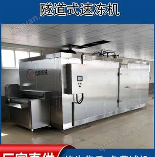 食品速冻设备 流态化提升式速冻机 全自动肉类冷冻设备