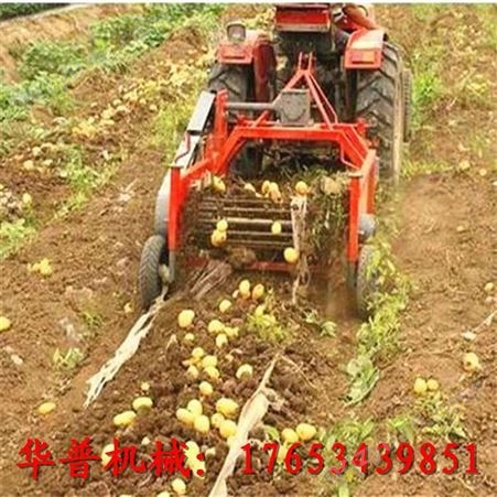 1.8米挖土豆机 土豆收获机 红薯收获机 四轮拖拉机带收地瓜机 挖地瓜机 马铃薯收获机
