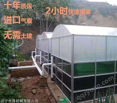 厂家供应进口纳米气囊沼气池新型养殖场沼气池太阳能沼气池